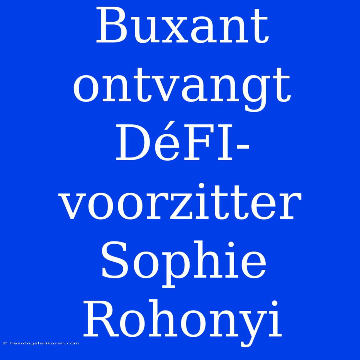 Buxant Ontvangt DéFI-voorzitter Sophie Rohonyi