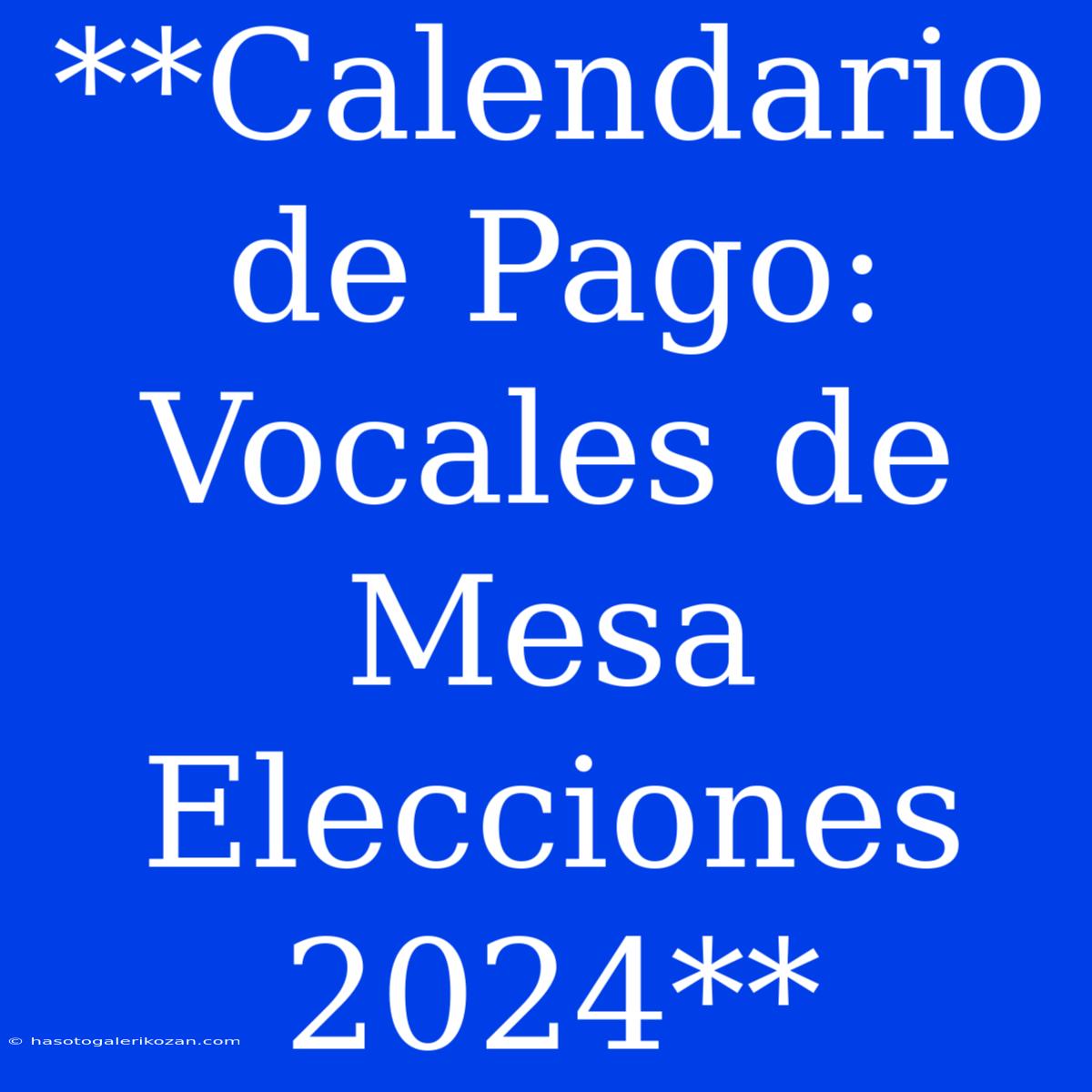 **Calendario De Pago: Vocales De Mesa Elecciones 2024**