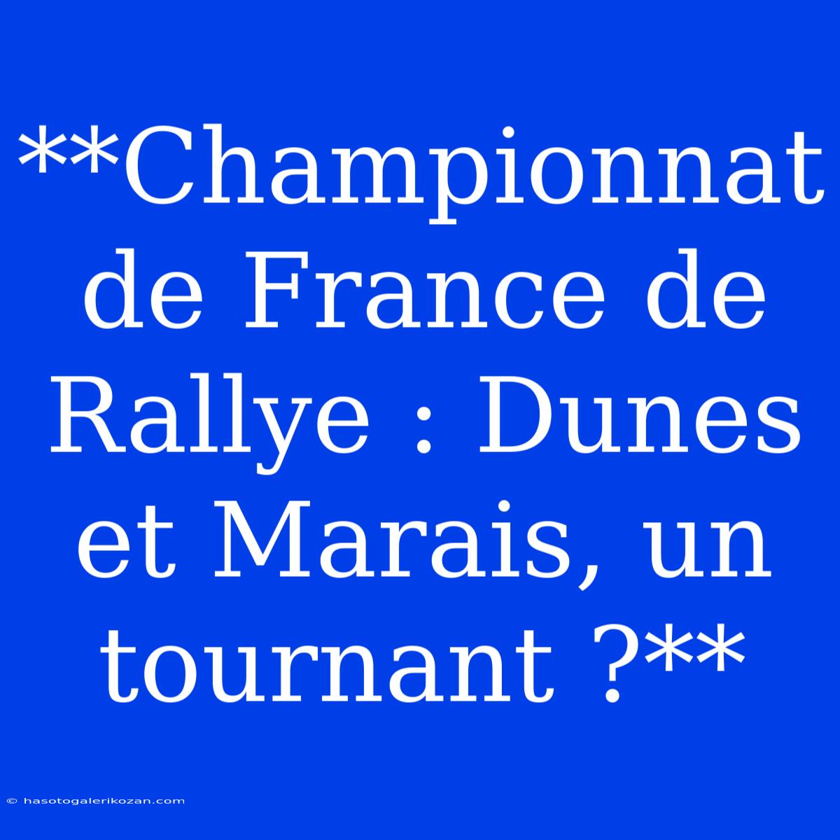 **Championnat De France De Rallye : Dunes Et Marais, Un Tournant ?**