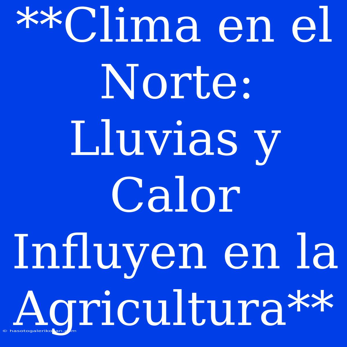 **Clima En El Norte: Lluvias Y Calor Influyen En La Agricultura**