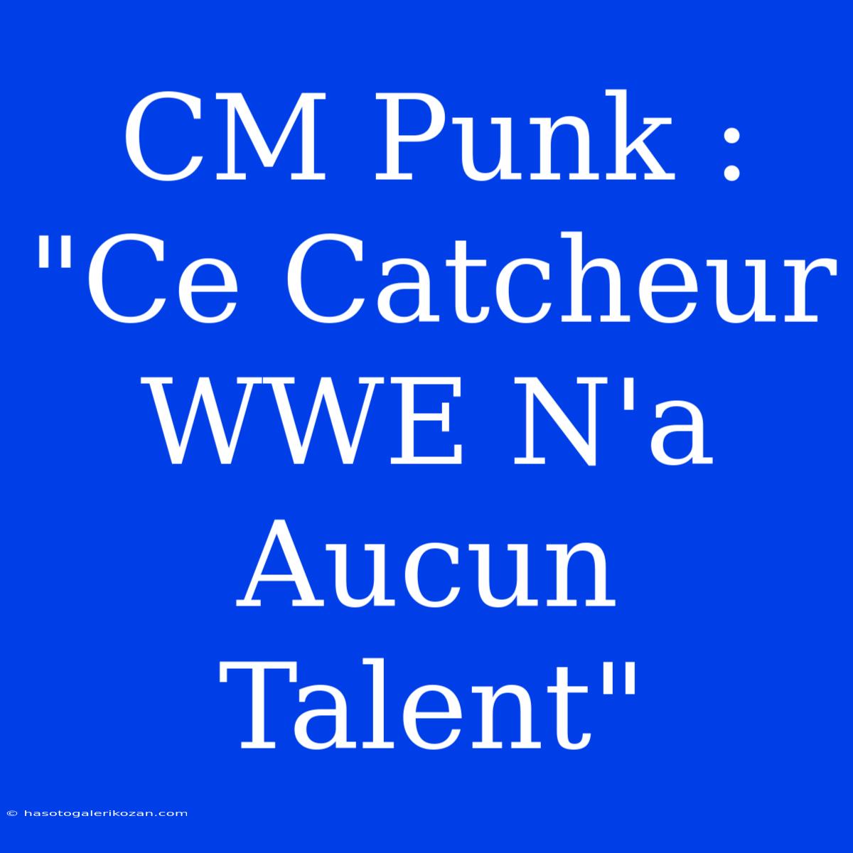 CM Punk : 