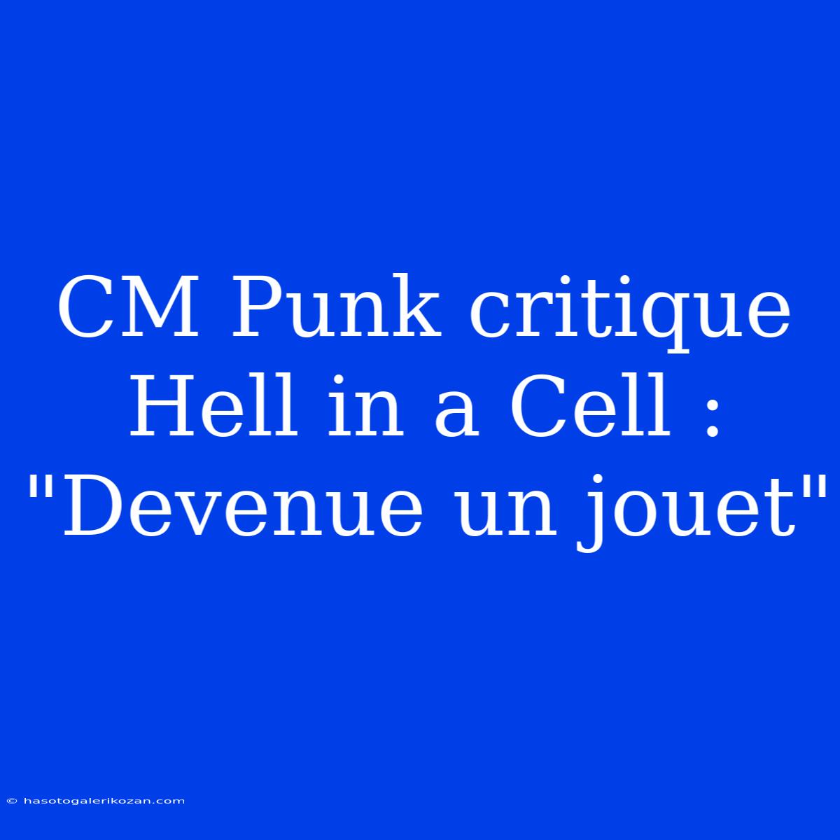 CM Punk Critique Hell In A Cell : 