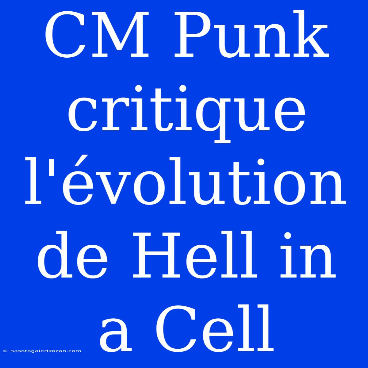 CM Punk Critique L'évolution De Hell In A Cell