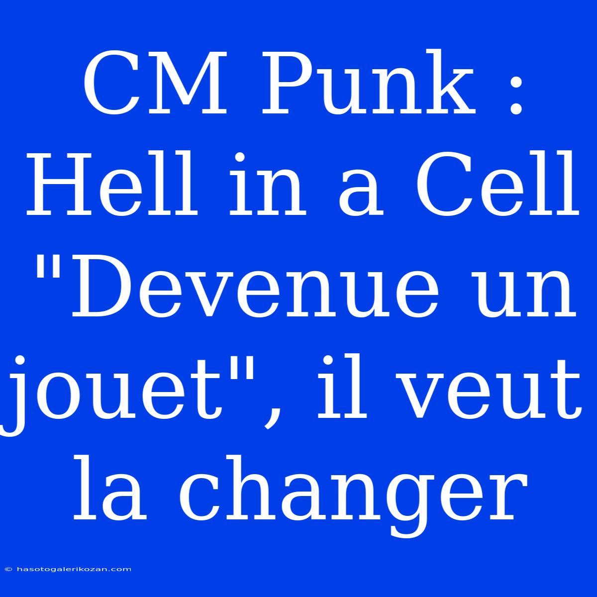 CM Punk : Hell In A Cell 