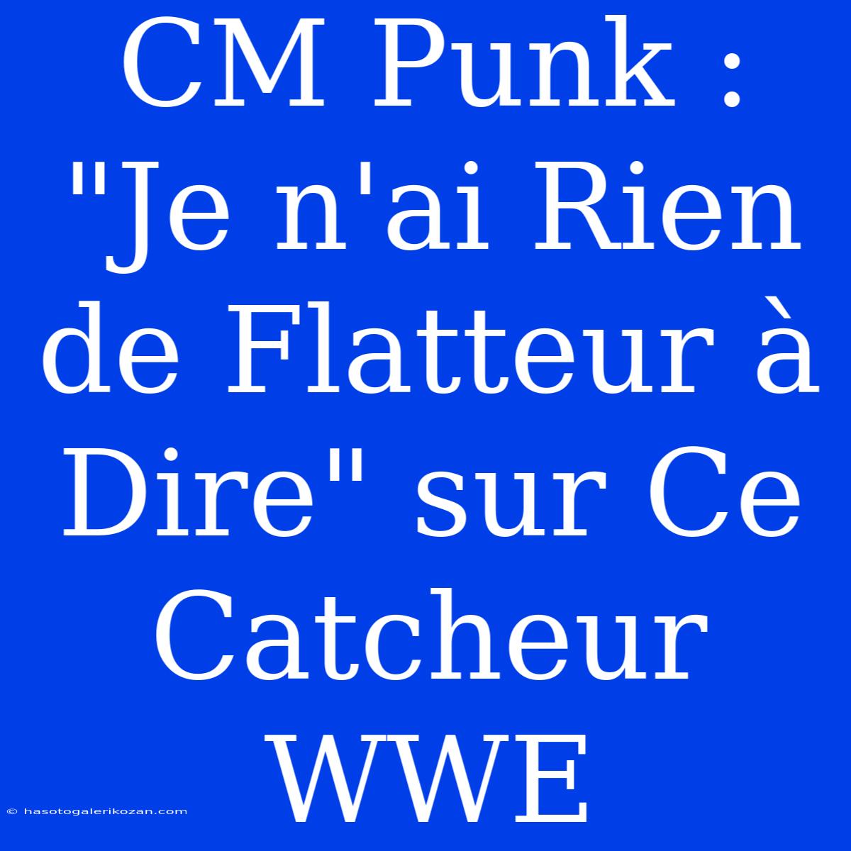 CM Punk : 