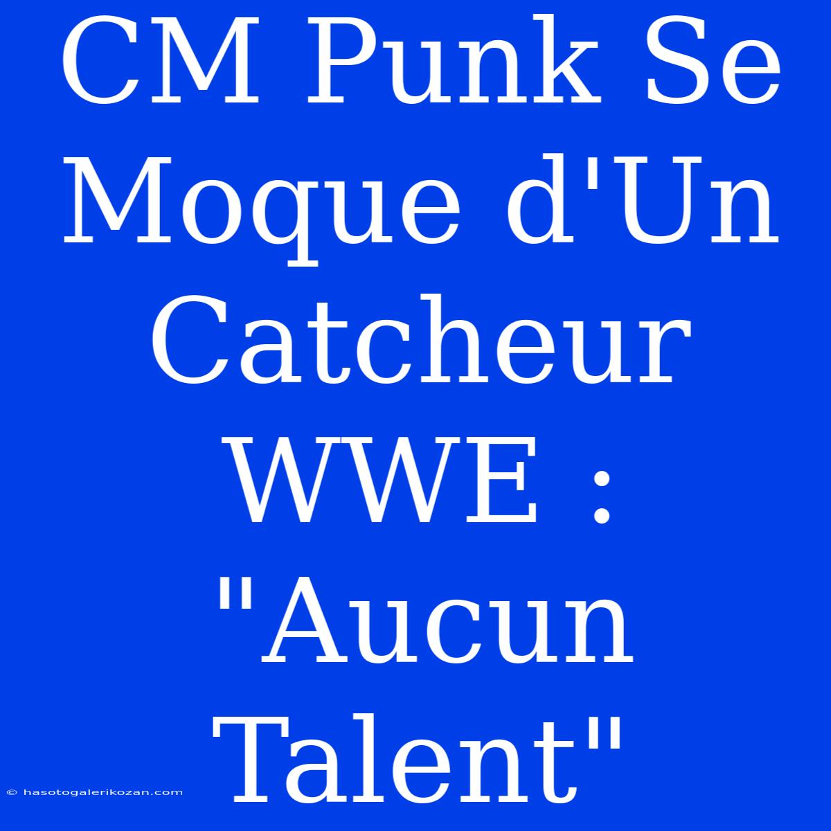 CM Punk Se Moque D'Un Catcheur WWE : 