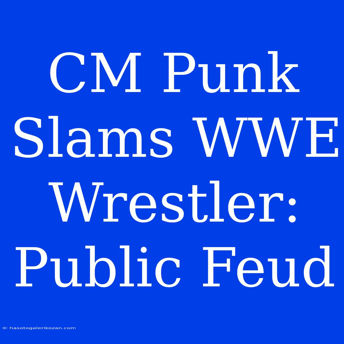 CM Punk Slams WWE Wrestler: Public Feud