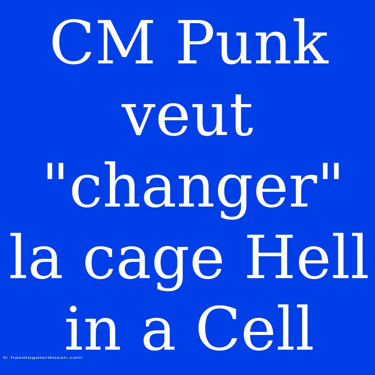 CM Punk Veut 