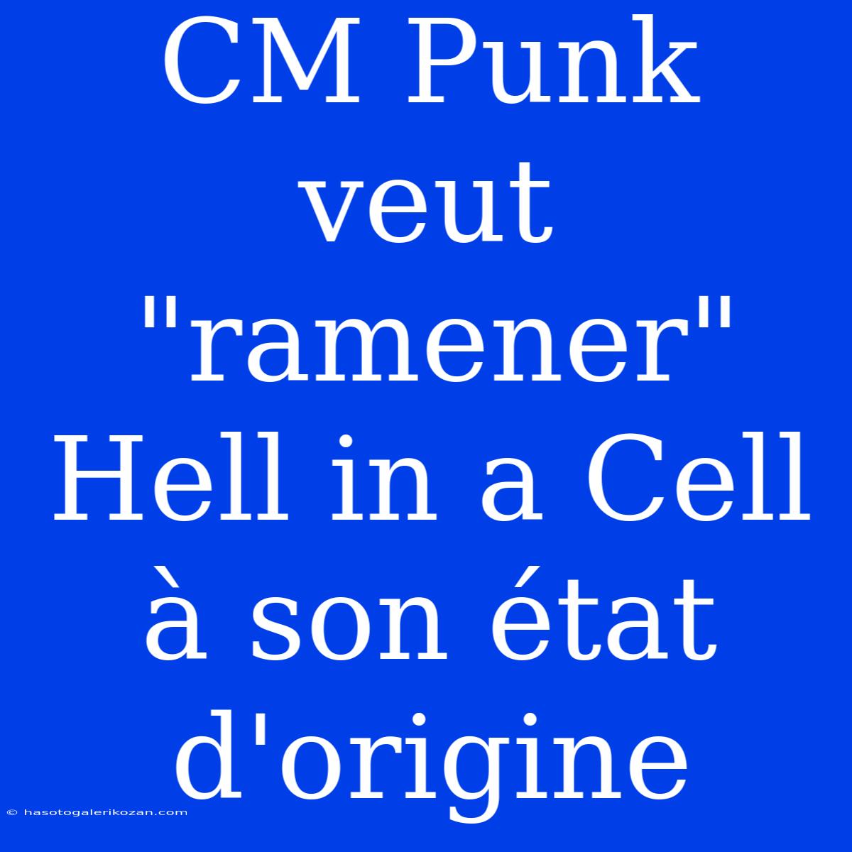 CM Punk Veut 