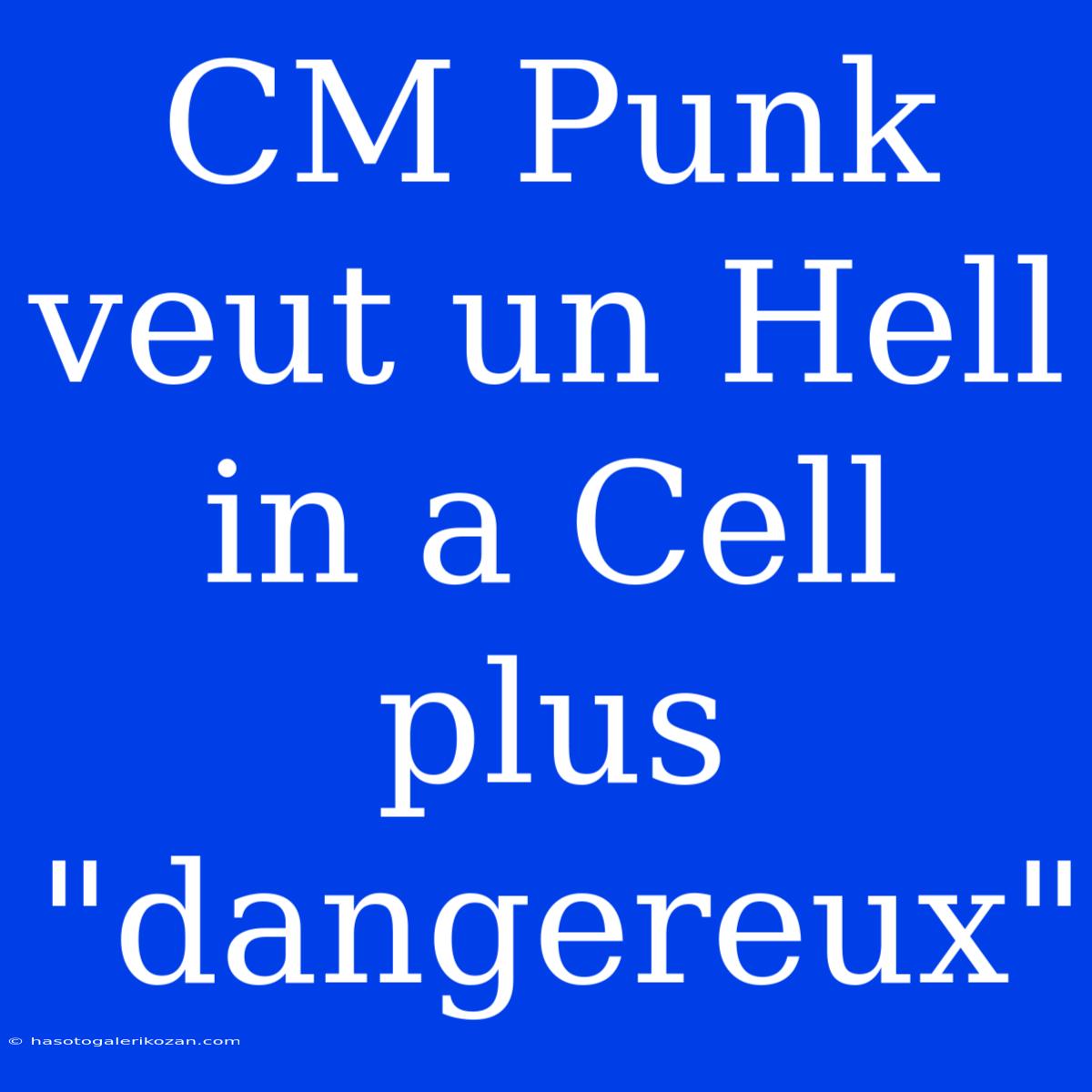 CM Punk Veut Un Hell In A Cell Plus 