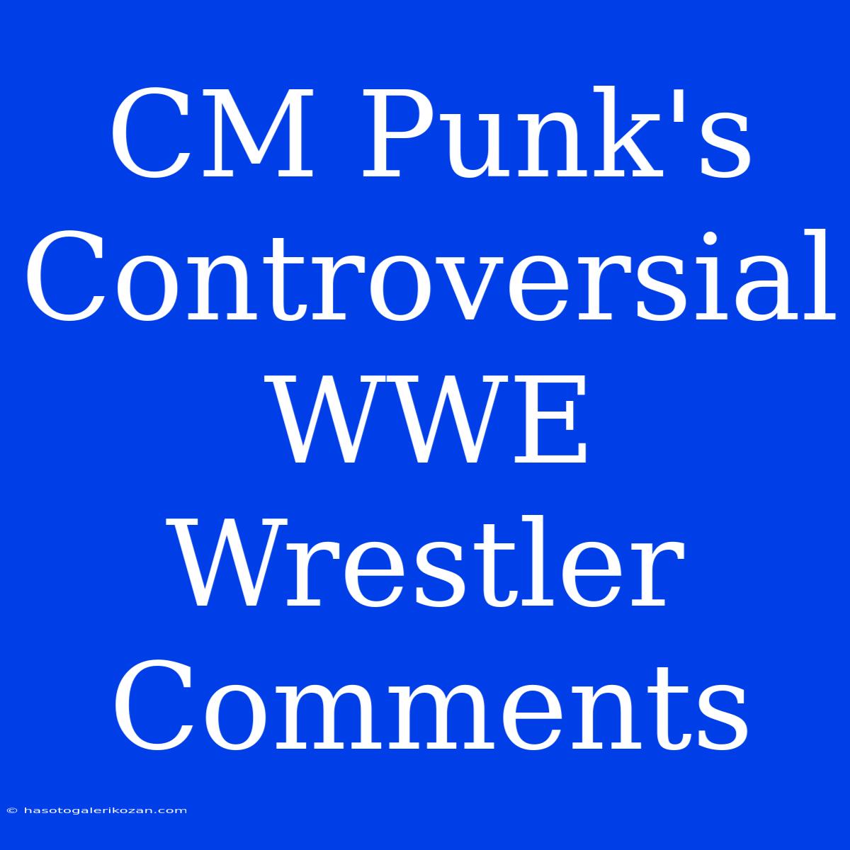 CM Punk's Controversial WWE Wrestler Comments