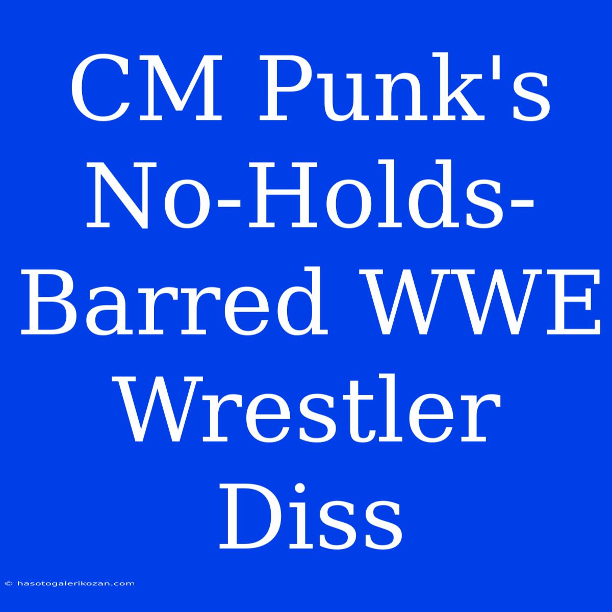 CM Punk's No-Holds-Barred WWE Wrestler Diss 