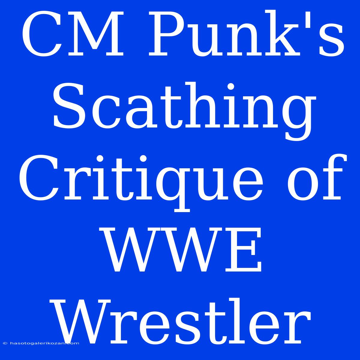 CM Punk's Scathing Critique Of WWE Wrestler 