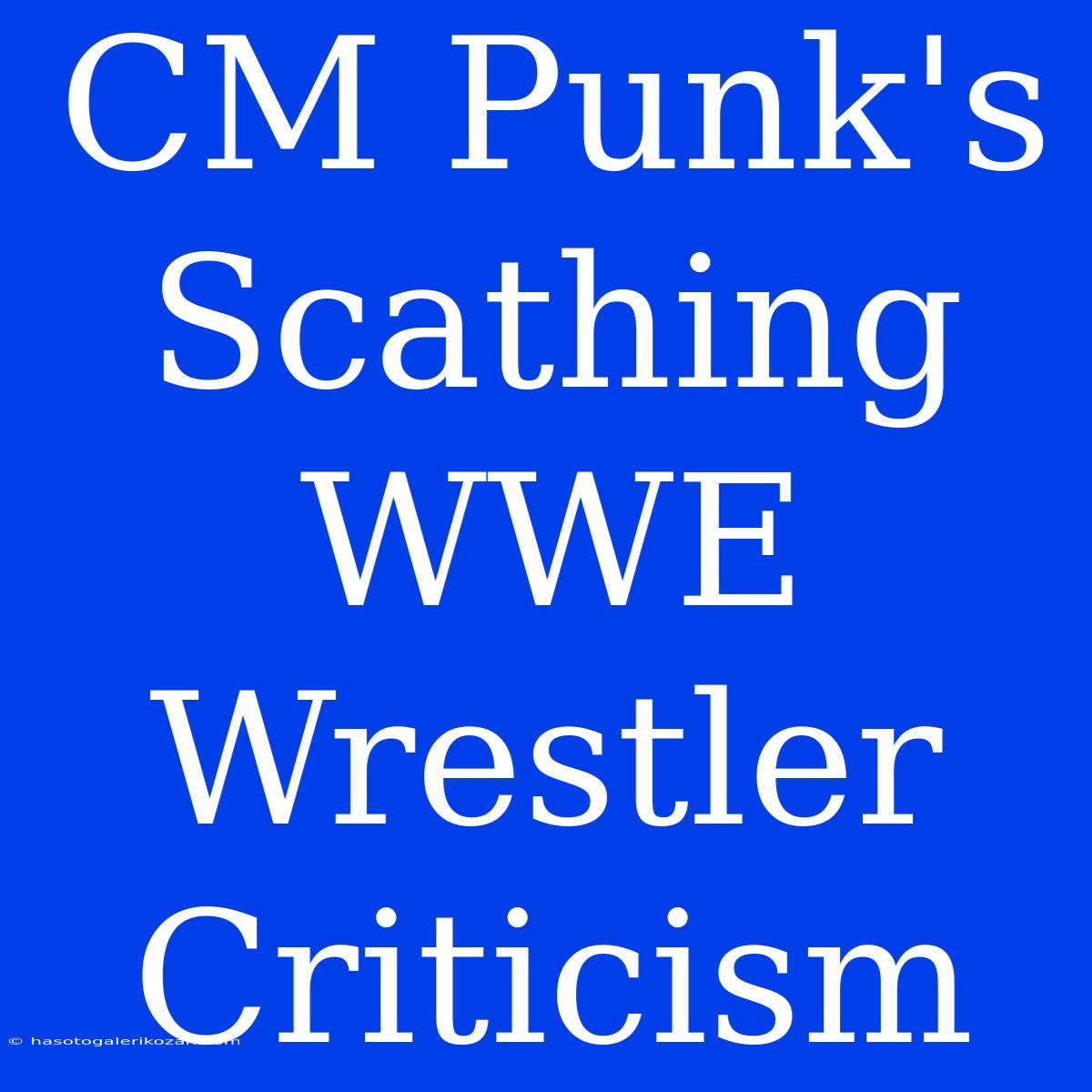 CM Punk's Scathing WWE Wrestler Criticism