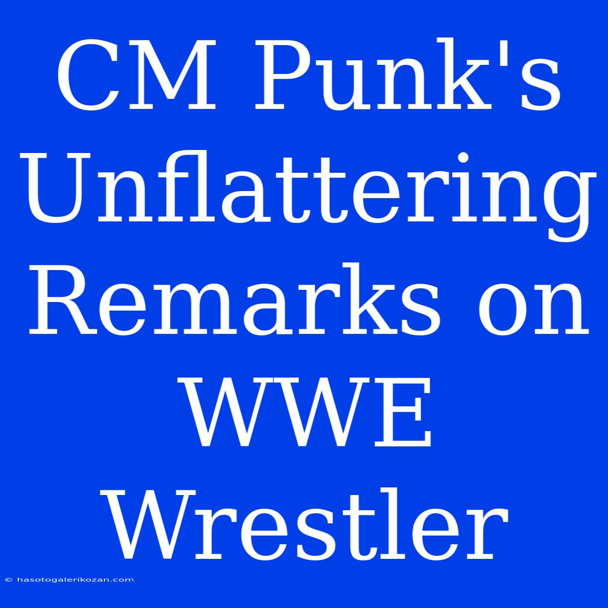 CM Punk's Unflattering Remarks On WWE Wrestler