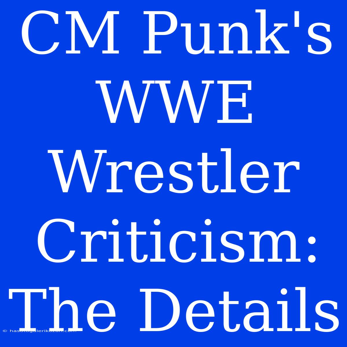 CM Punk's  WWE Wrestler Criticism: The Details