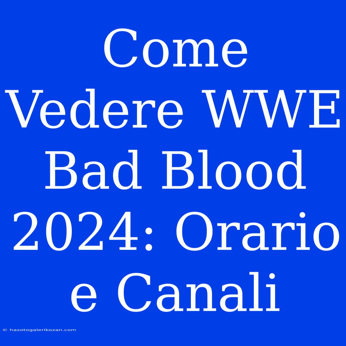 Come Vedere WWE Bad Blood 2024: Orario E Canali