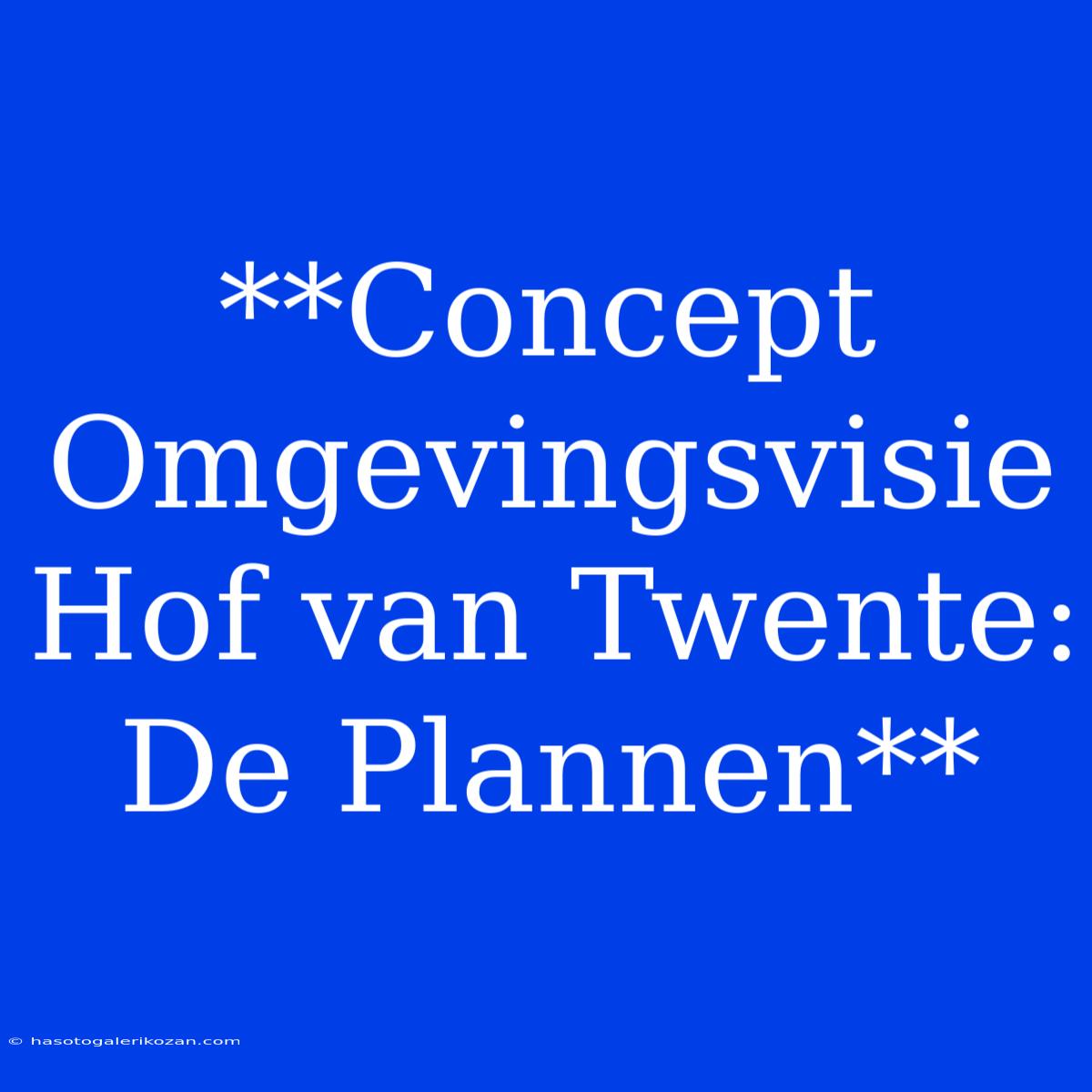 **Concept Omgevingsvisie Hof Van Twente: De Plannen** 