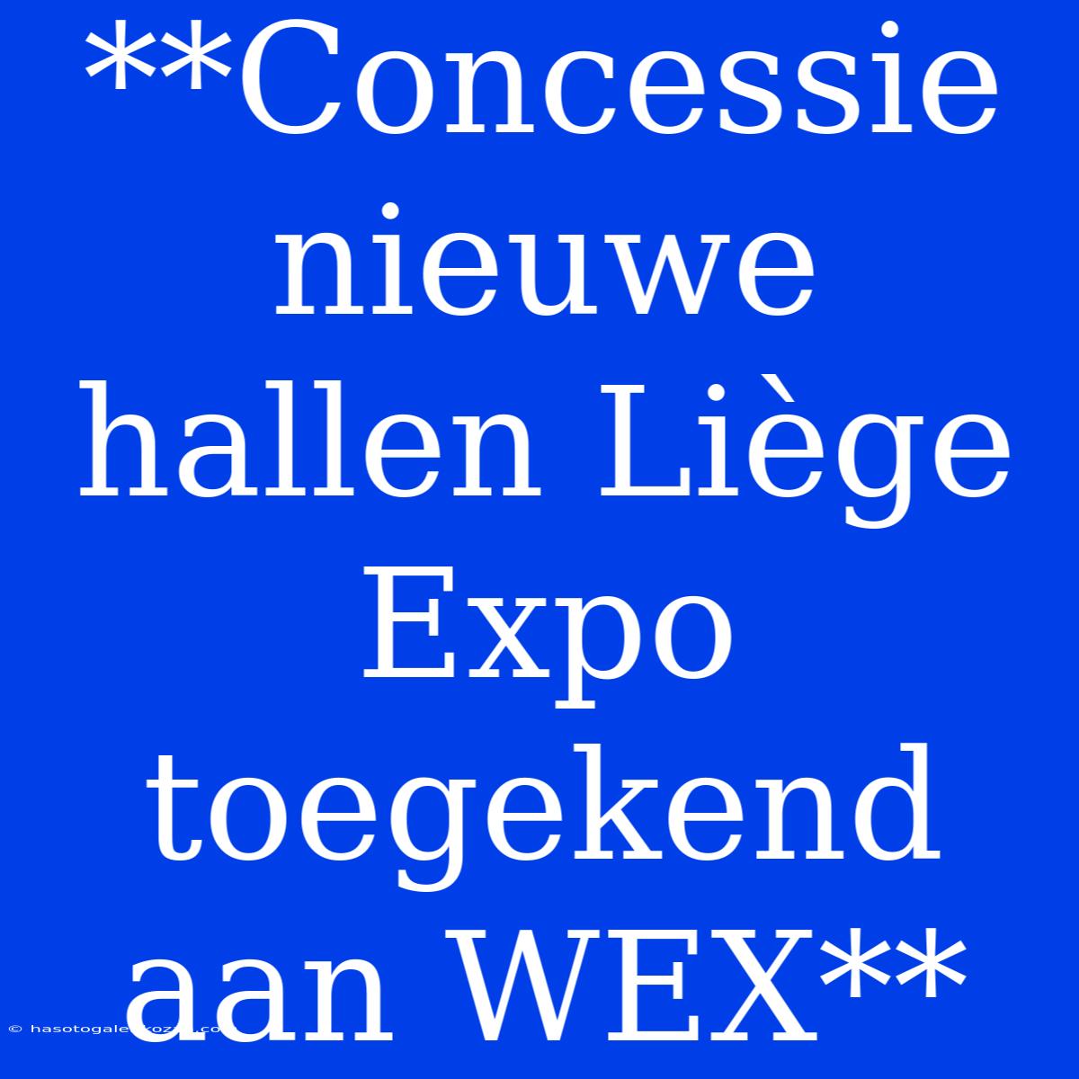 **Concessie Nieuwe Hallen Liège Expo Toegekend Aan WEX**