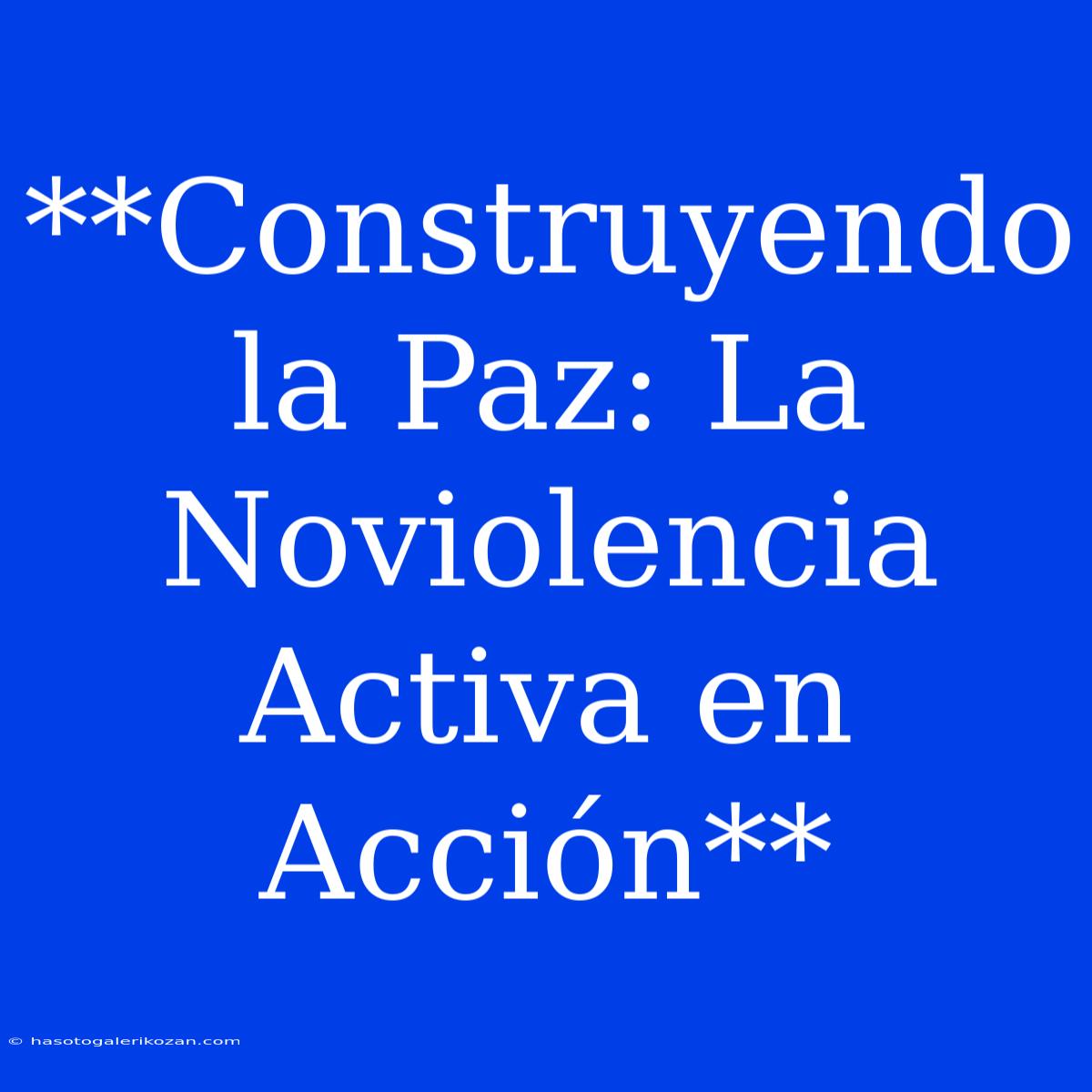 **Construyendo La Paz: La Noviolencia Activa En Acción**