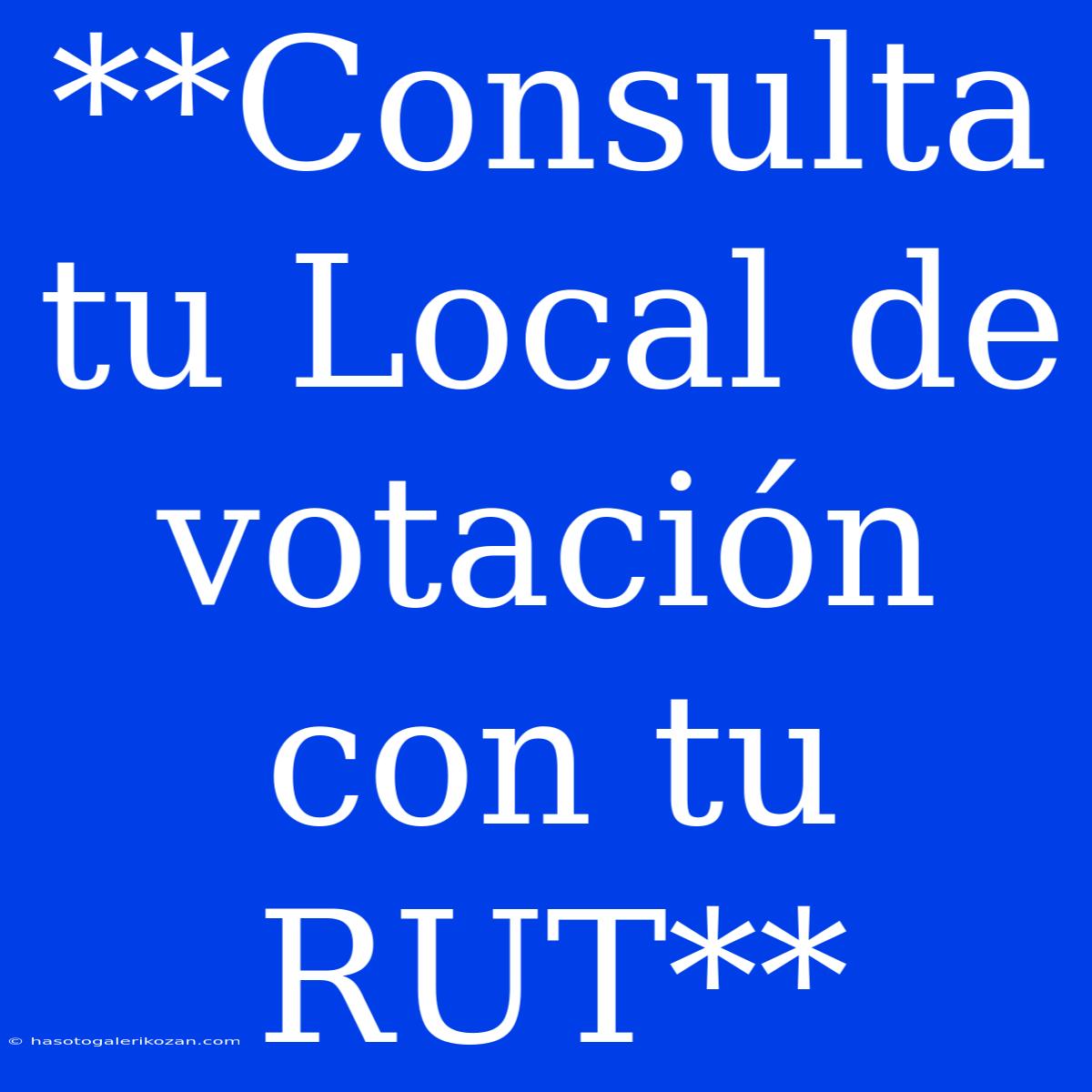 **Consulta Tu Local De Votación Con Tu RUT**