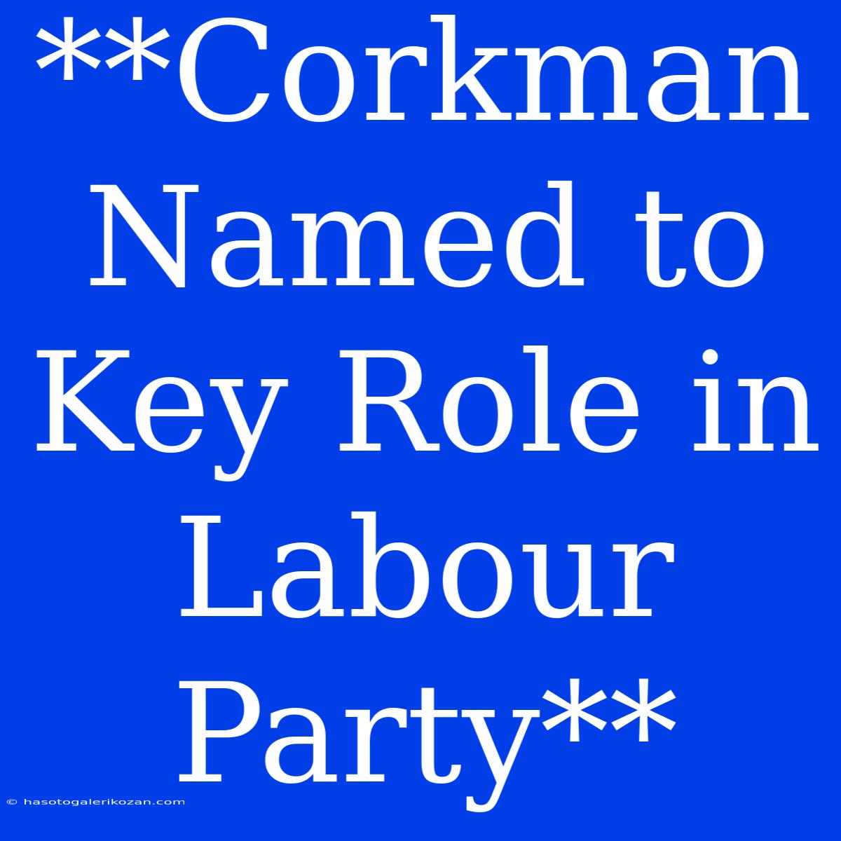 **Corkman Named To Key Role In Labour Party**