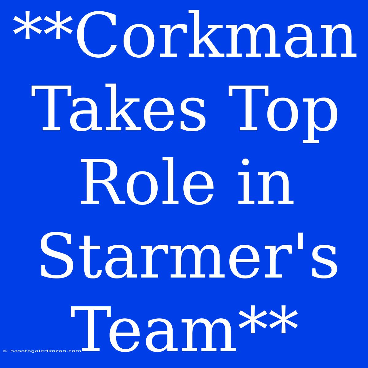 **Corkman Takes Top Role In Starmer's Team**