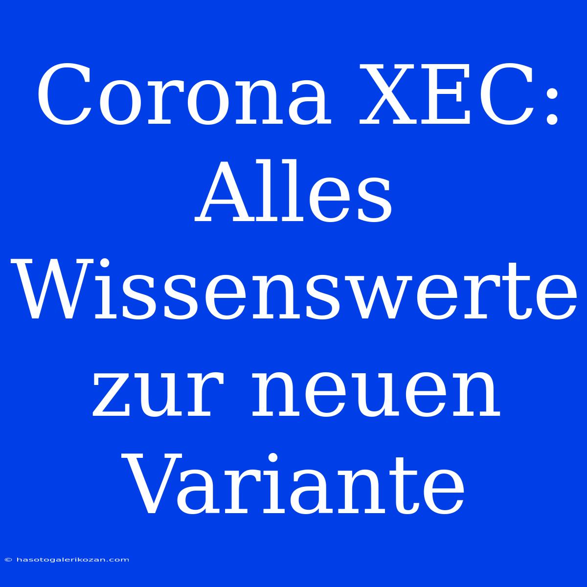 Corona XEC: Alles Wissenswerte Zur Neuen Variante