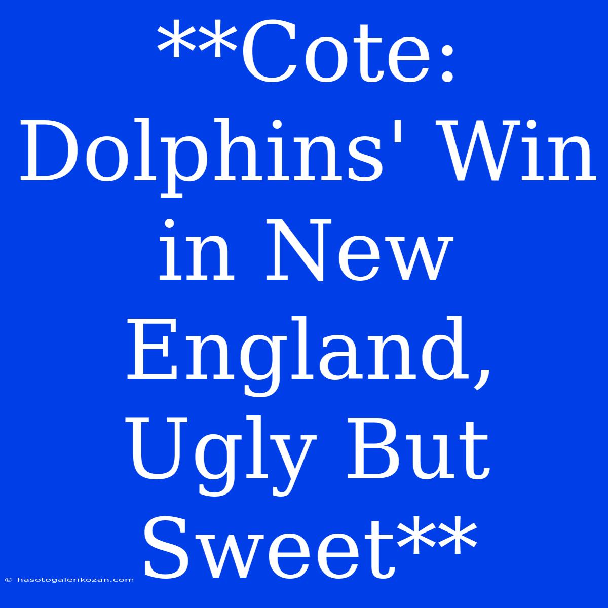 **Cote: Dolphins' Win In New England, Ugly But Sweet**