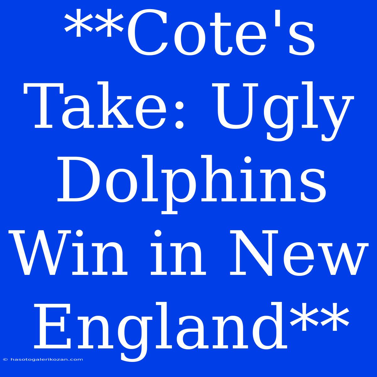 **Cote's Take: Ugly Dolphins Win In New England**