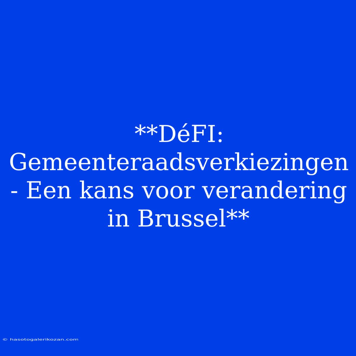 **DéFI: Gemeenteraadsverkiezingen - Een Kans Voor Verandering In Brussel**