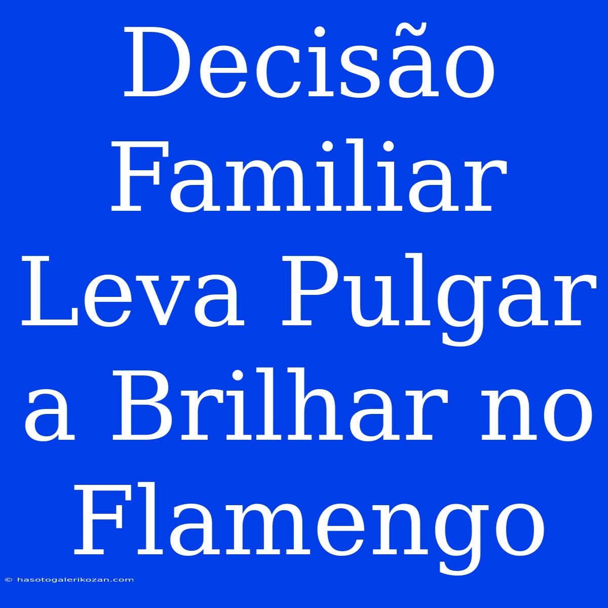 Decisão Familiar Leva Pulgar A Brilhar No Flamengo