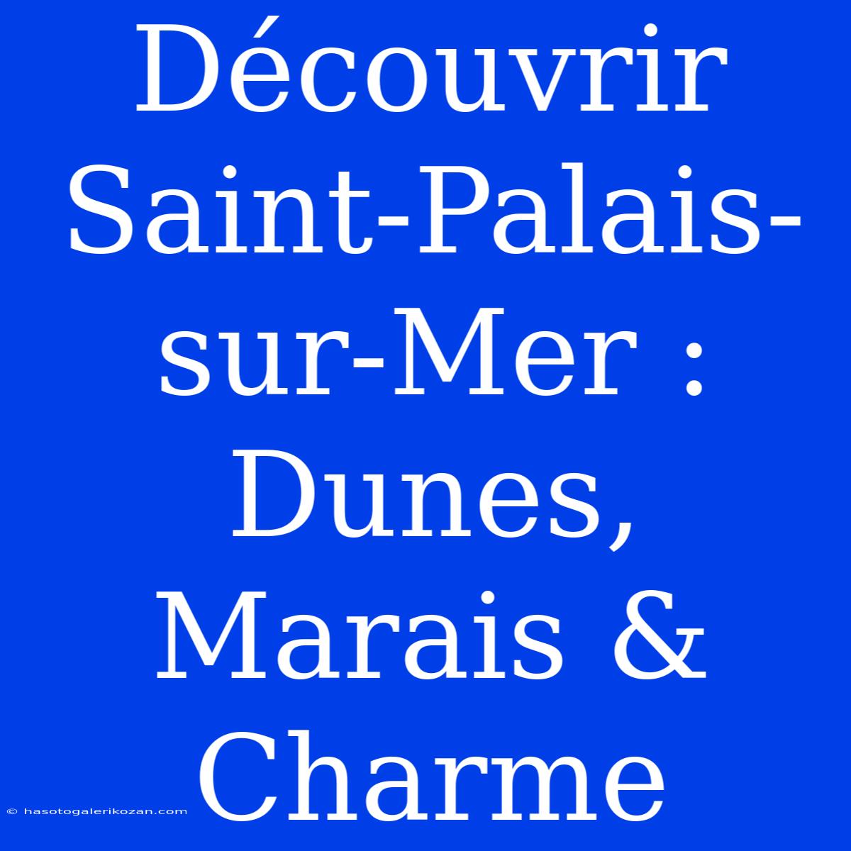 Découvrir Saint-Palais-sur-Mer : Dunes, Marais & Charme