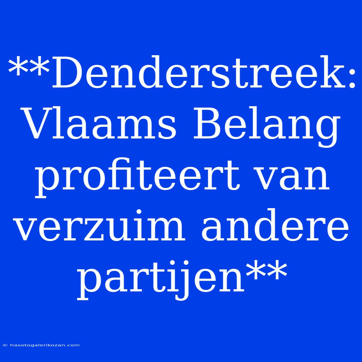 **Denderstreek: Vlaams Belang Profiteert Van Verzuim Andere Partijen**