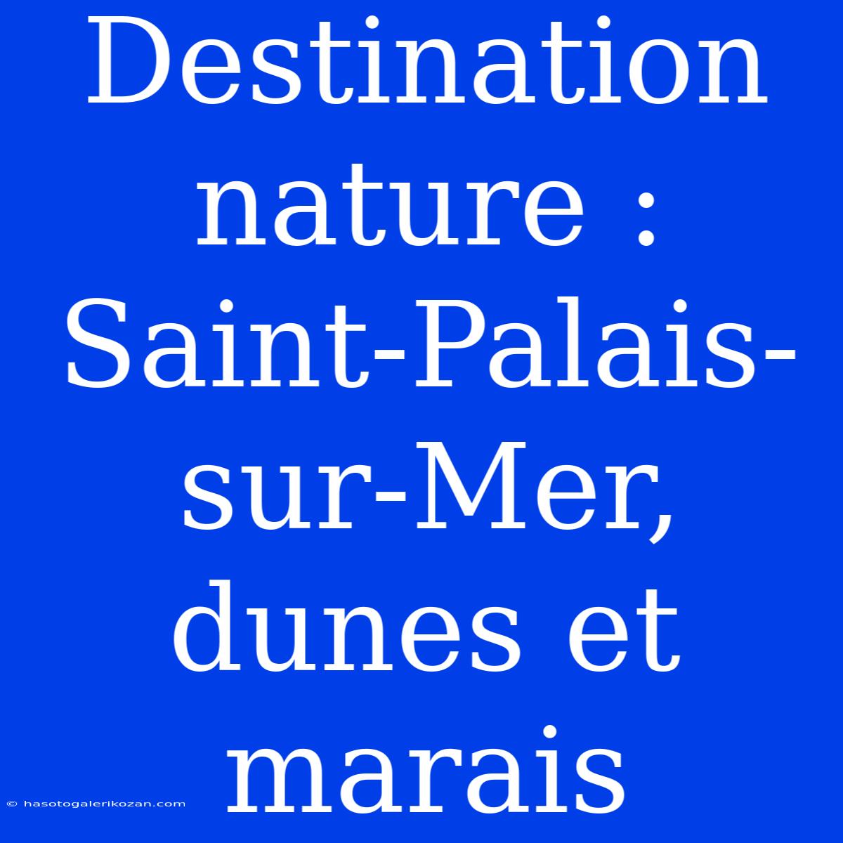 Destination Nature : Saint-Palais-sur-Mer, Dunes Et Marais