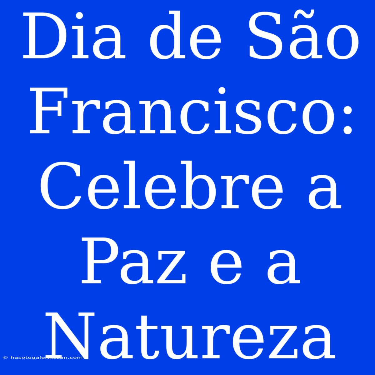 Dia De São Francisco: Celebre A Paz E A Natureza