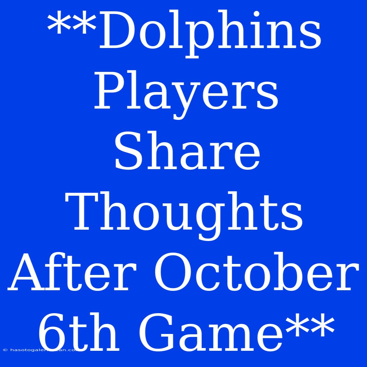 **Dolphins Players Share Thoughts After October 6th Game**