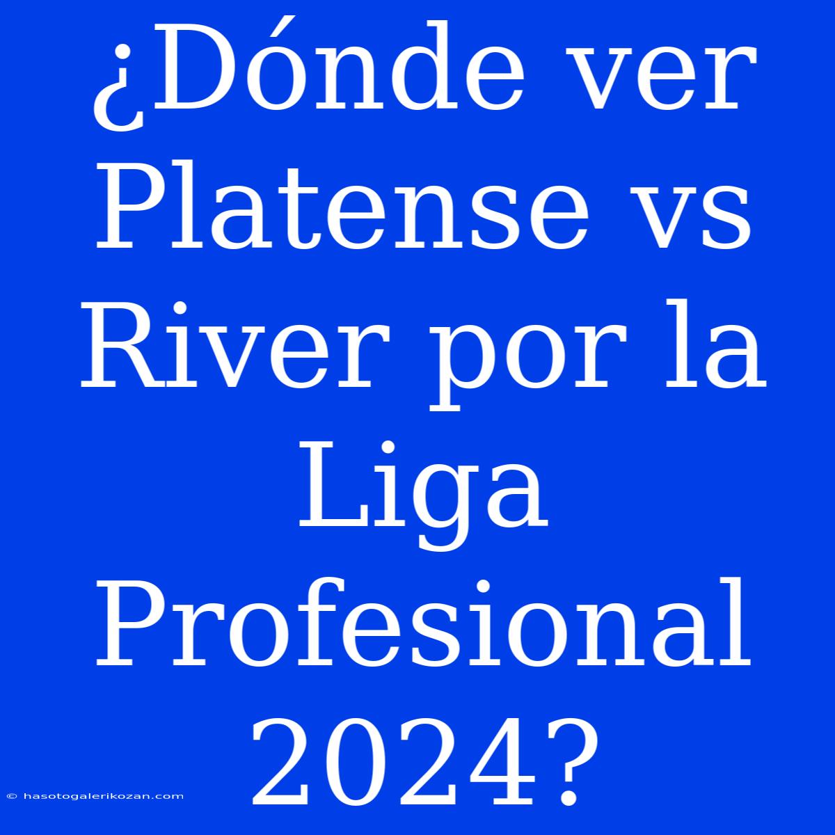 ¿Dónde Ver Platense Vs River Por La Liga Profesional 2024?