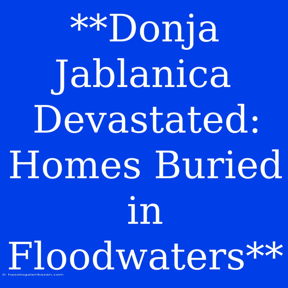 **Donja Jablanica Devastated: Homes Buried In Floodwaters**