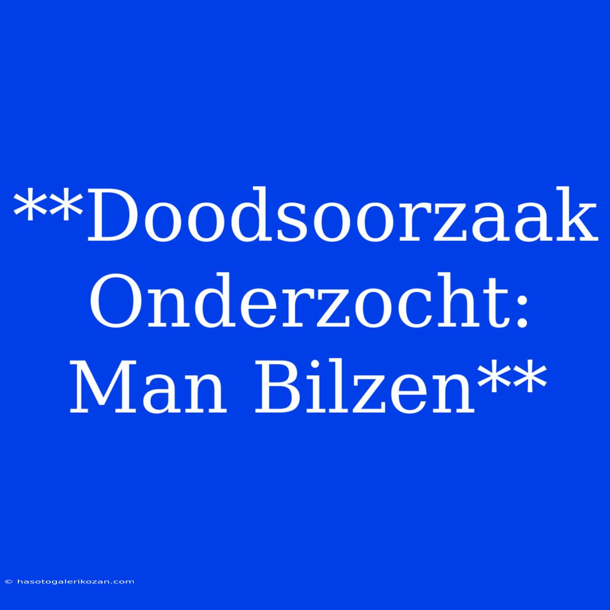 **Doodsoorzaak Onderzocht: Man Bilzen**