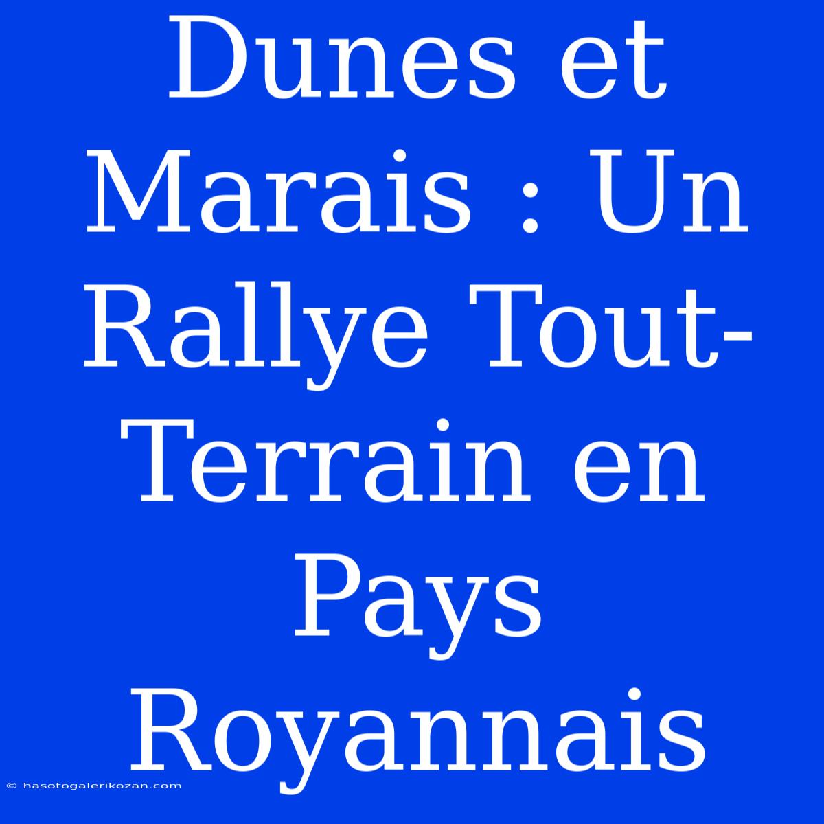 Dunes Et Marais : Un Rallye Tout-Terrain En Pays Royannais