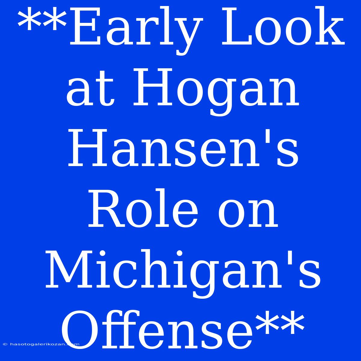 **Early Look At Hogan Hansen's Role On Michigan's Offense**