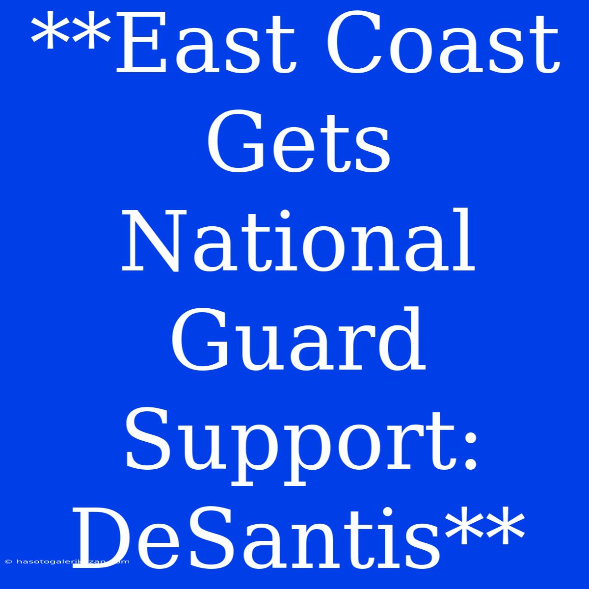 **East Coast Gets National Guard Support: DeSantis**