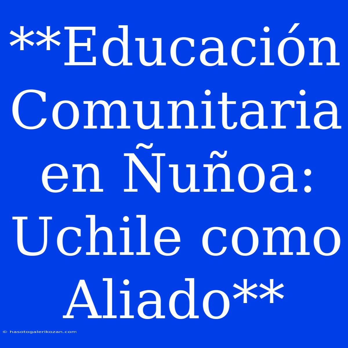 **Educación Comunitaria En Ñuñoa: Uchile Como Aliado**