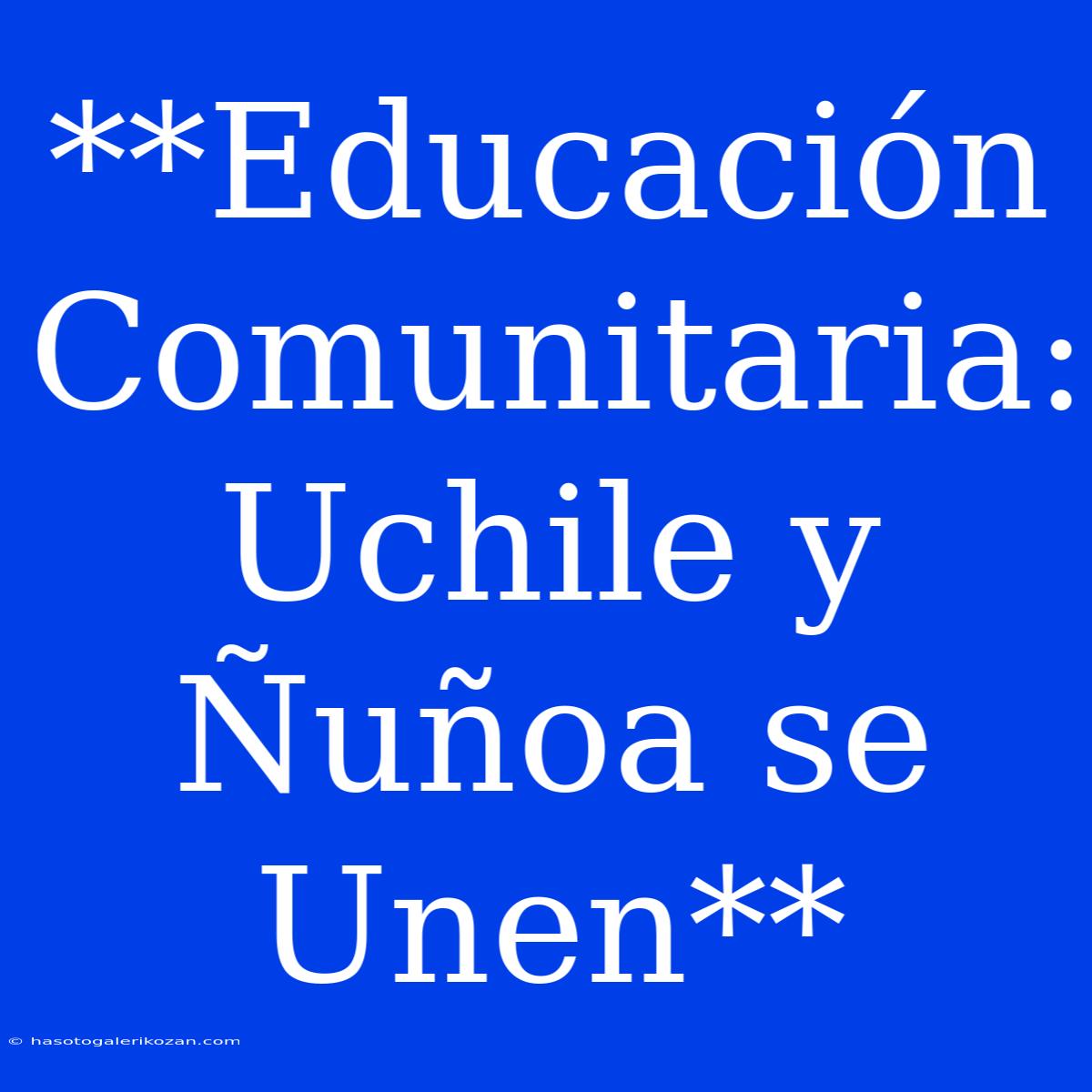 **Educación Comunitaria: Uchile Y Ñuñoa Se Unen**