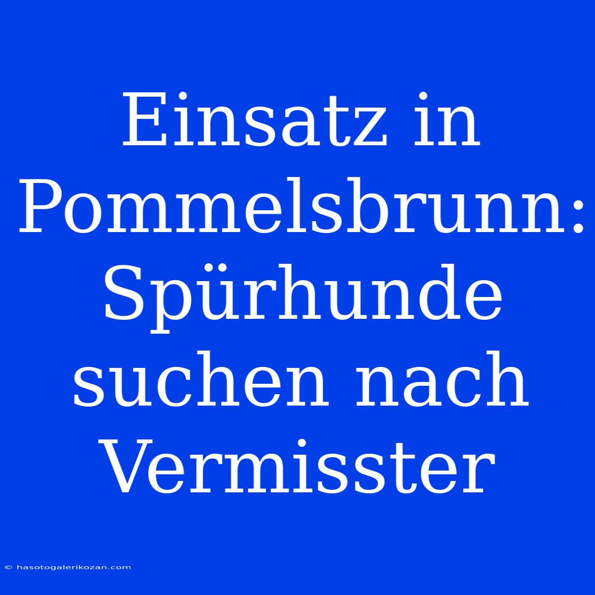 Einsatz In Pommelsbrunn: Spürhunde Suchen Nach Vermisster