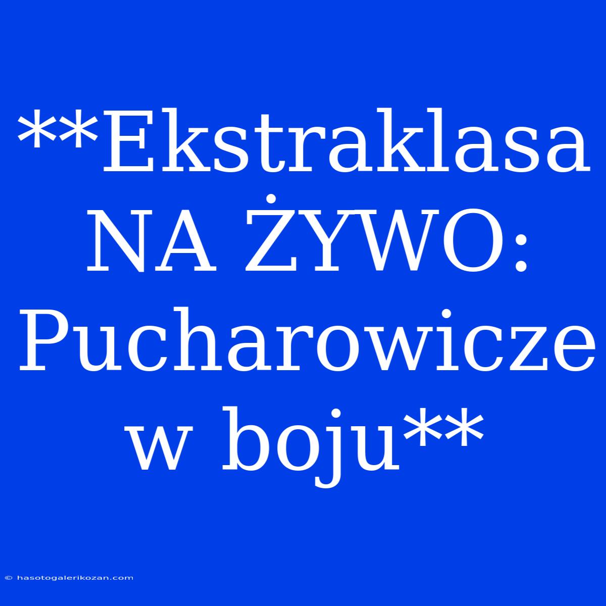 **Ekstraklasa NA ŻYWO: Pucharowicze W Boju**