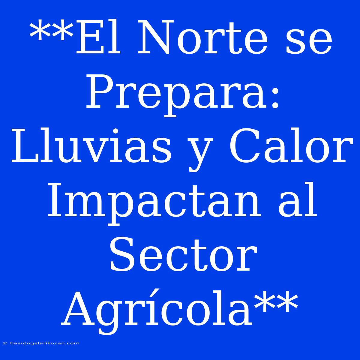 **El Norte Se Prepara: Lluvias Y Calor Impactan Al Sector Agrícola** 