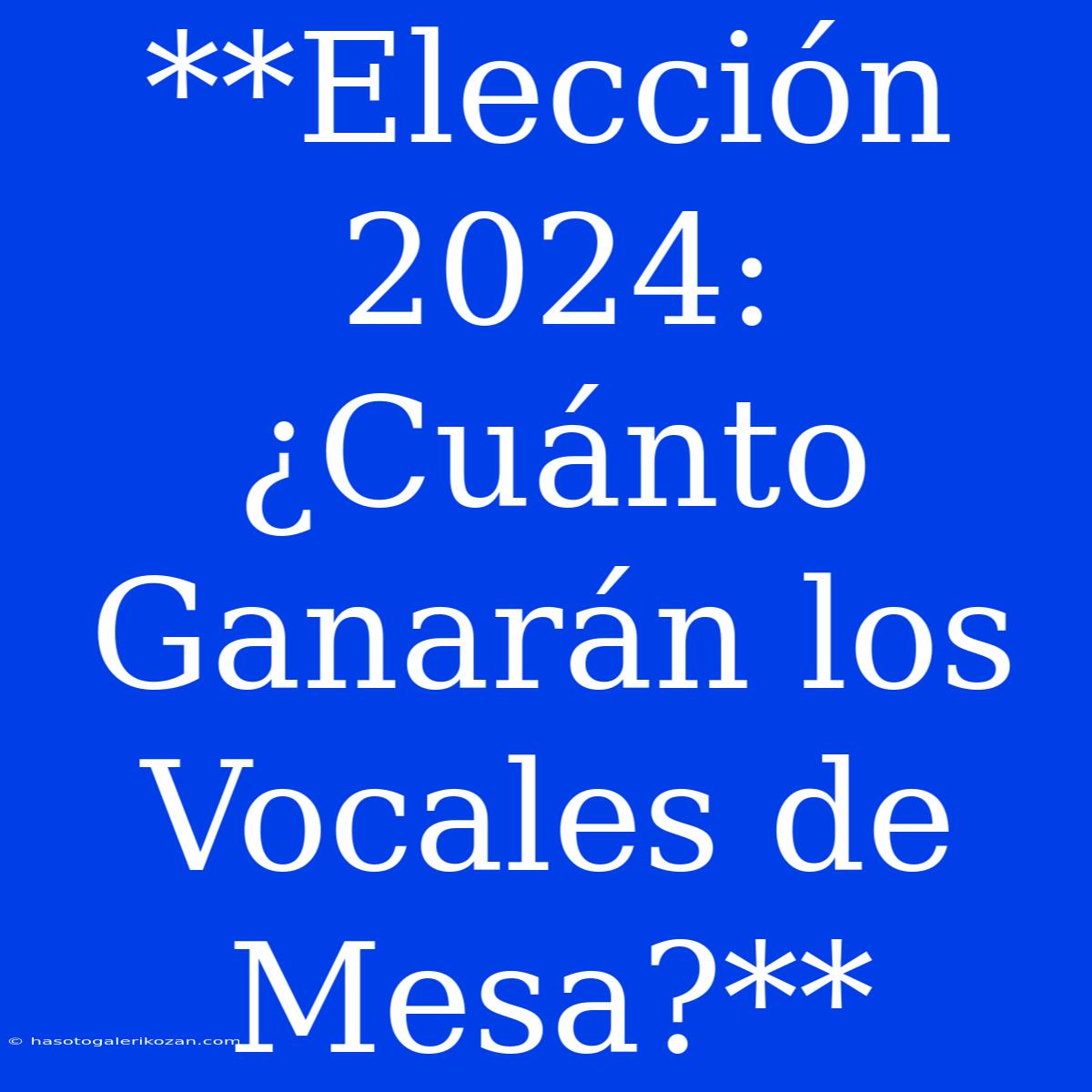 **Elección 2024: ¿Cuánto Ganarán Los Vocales De Mesa?**