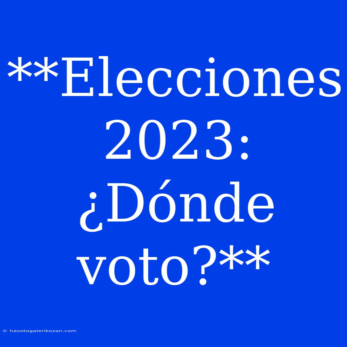 **Elecciones 2023: ¿Dónde Voto?**